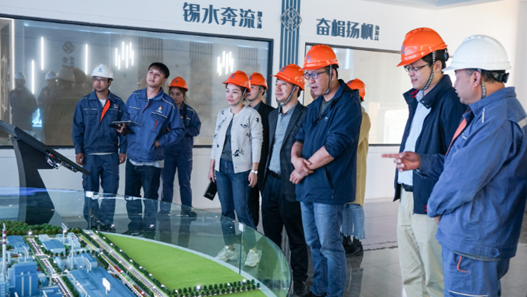 喜讯！云南锡业股份有限公司锡业分公司信息化智能化建设项目全面通过验收